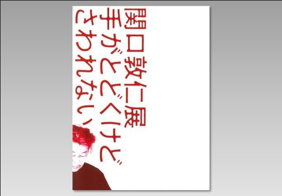 関口敦仁展　手がとどくけど　さわれない